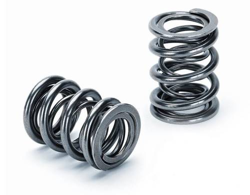 Valvetrain - Valve Springs