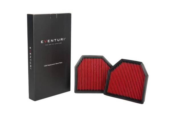 Eventuri - Eventuri BMW F1X M5/M6 - Panel Filter Pair - For Factory Intake Only