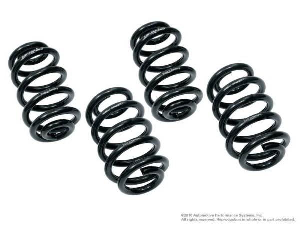 Neuspeed - NEUSPEED Spring Kit Sport for B5 A4 2.8L