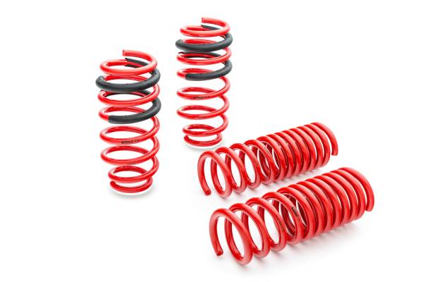 Eibach Springs - Eibach Springs SPORTLINE Kit (Set of 4 Springs) - E20-20-031-01-22