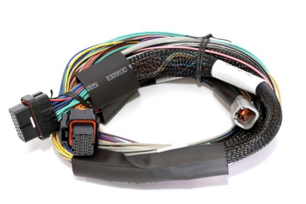 Haltech - Haltech Elite 1000 8ft Basic Universal Wire-In Harness (Excl Relays or Fuses) - HT-140802