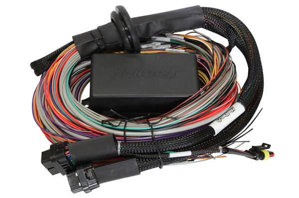 Haltech - Haltech Elite 1500 8ft Premium Universal Wire-In Harness - HT-140904