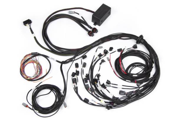 Haltech - Haltech Ford Falcon BA/BF Barra 4.0 Elite 2500 Terminated Harness w/EV1 Injector Connectors - HT-141388