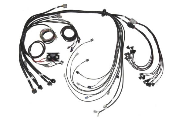 Haltech - Haltech V8 BB/SB GM/Ford/Chrysler Hemi Elite 2500 & REM 16 Injector Terminated Harness w/EV1 Inj - HT-142005