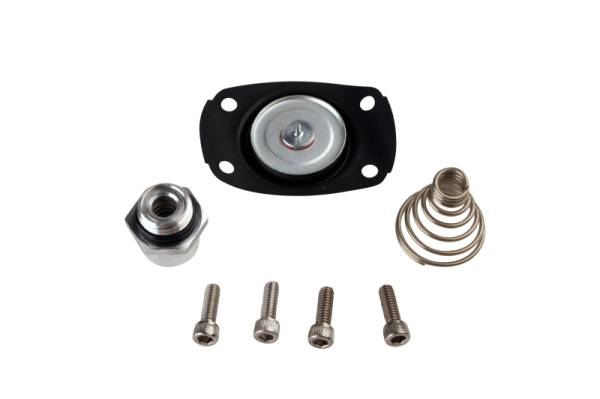 Aeromotive - Aeromotive Carb Regulator Repair Kit (for 13201/13205/13211/13215/13217/13251/13255) - 13005