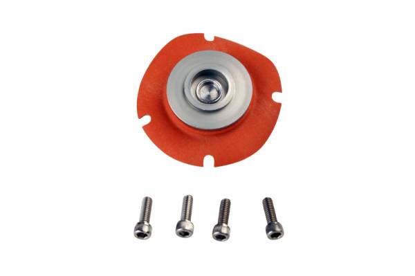 Aeromotive - Aeromotive EFI Regulator Repair Kit (for 13110)