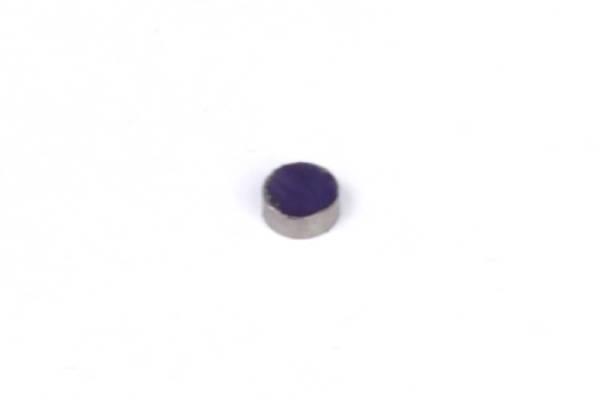 Haltech - Haltech Rare Earth Magnets (5mm Dia x 2mm H) - HT-010602