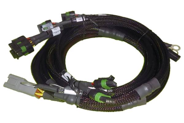 Haltech - Haltech V8 BB/SB GM/Chrysler Hemi V8 8 Channel Individual High Output IGN-1A Inductive Coil Harness - HT-130306