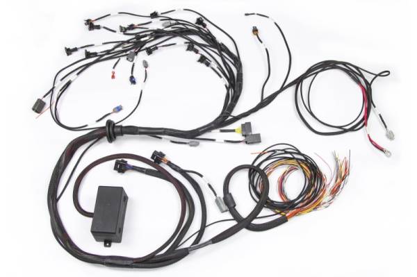 Haltech - Haltech Nissan RB Elite 2000/2500 Terminated Engine Harness w/EV1 Injector Connectors - HT-130326