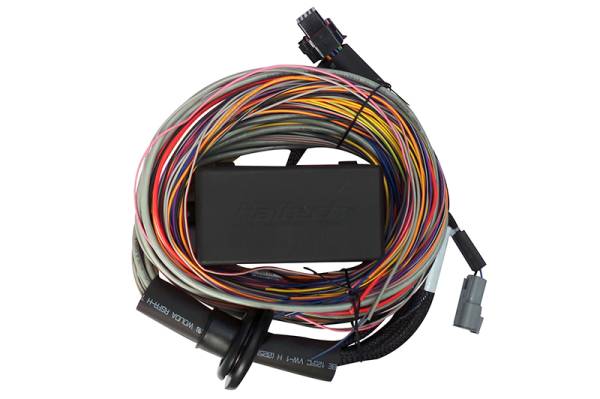 Haltech - Haltech Elite 750 8ft Premium Universal Wire-In Harness - HT-140604