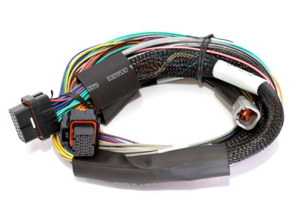 Haltech - Haltech Elite 1500 8ft Basic Universal Wire-In Harness (Excl Relays or Fuses) - HT-140902