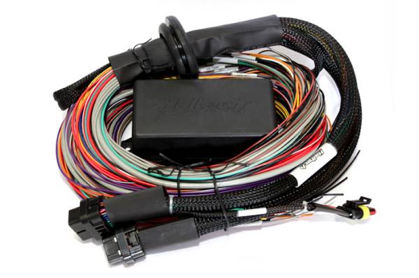 Haltech - Haltech Elite 2500 & 2500 T 8ft Premium Universal Wire-In Harness - HT-141304