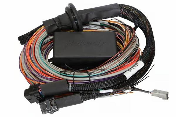 Haltech - Haltech Elite 2500 & 2500 T 16ft Premium Universal Wire-In Harness - HT-141305