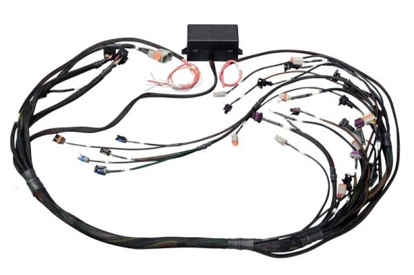 Haltech - Haltech GM GEN III LS1 & LS6 (Non DBW) Elite 2000/2500 Terminated Harness w/EV1 Injector Connectors - HT-141360