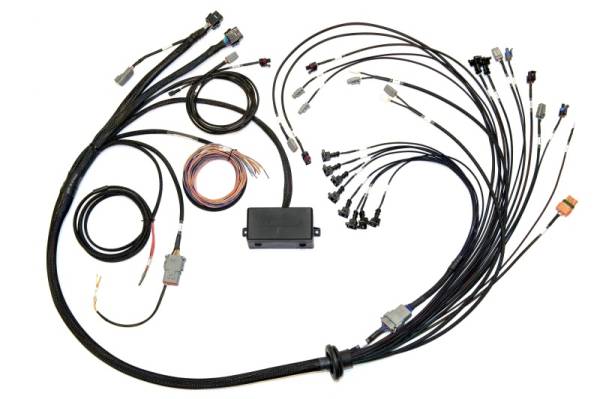 Haltech - Haltech V8 Big/Small Block GM/Ford/Chrysler Elite 2000/2500 Terminated Harness w/EV1 Inj Connectors - HT-141376