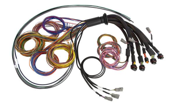 Haltech - Haltech NEXUS R5 Universal Wire-In Harness - 2.5M (8ft) - HT-185200