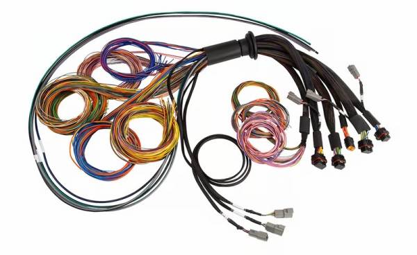 Haltech - Haltech NEXUS R5 Universal Wire-In Harness - 5M (16ft) - HT-185201