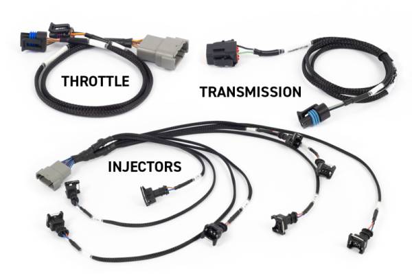 Haltech - Haltech NEXUS Rebel LS Kit (Suits Gen III) Cable Throttle/EV1 Injectors/Manual Transmission - HT-220201