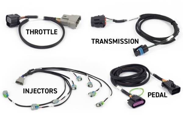 Haltech - Haltech NEXUS Rebel LS Kit (Suits Gen IV) 6-Pin DBW Throttle/EV6 Injectors/Manual Transmission - HT-220204