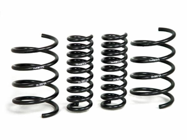 H&R - H&R 01-06 Mercedes-Benz C240/C320/C55 AMG W203 Sport Spring