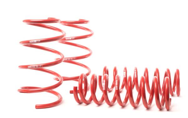 H&R - H&R 90-97 BMW 840Ci/840i/850Ci/850i E31 Sport Spring (w/o Self-Leveling)