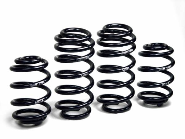 H&R - H&R 01-05 Volkswagen Passat Sedan/Passat Wagon VR6/TDI B5.5 Facelift Sport Spring