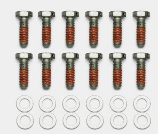 Wilwood - Wilwood Bolt Kit - 5/16-18 x 1.00 LG - 12 pk