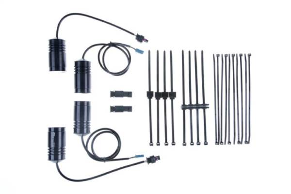 KW - KW Electronic Damping Cancellation Kit BMW M5 F10