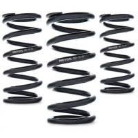 AST Linear Race Springs - 140mm Length x 170 N/mm Rate x 61mm ID - Single - AST-140-170-61