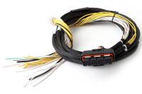 Haltech HPI8 High Power Igniter 2m Flying Lead (Loom Only) - HT-040025