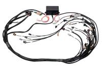 Haltech GM GEN IV LSX (LS2/LS3 Non DBW) Elite 2000/2500 Terminated Harness w/EV1 Inj Connectors - HT-141364