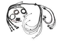 Haltech V8 BB/SB GM/Ford/Chrysler Hemi Elite 2500 & REM 16 Injector Terminated Harness w/EV1 Inj - HT-142005