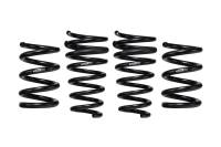 Eibach 19-24 Porsche 911 GTS EPS Spring Set - E10-72-019-01-22