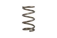 Eibach Springs EIBACH PLATINUM MODIFIED FRONT SPRING - PF0950.500.0350