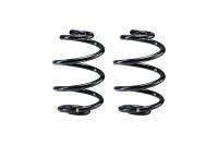 Eibach Springs Single Front Spring - R10006