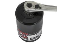 aFe - aFe Pro GUARD D2 Oil Filter 97-08 Ford Trucks V6 4.2L / V8 4.6L (4 Pack) - Image 2