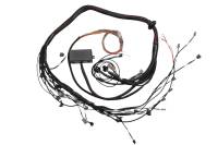 Haltech Toyota 2JZ Elite 2000/2500 Terminated Engine Harness - HT-130318