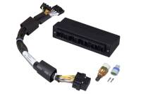 Haltech - Haltech Mazda Miata NA 1.6/1.8 w/2 Plug 2 Row ECU Elite 750 Plug-n-Play Adaptor Harness - HT-140622 - Image 2