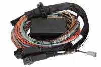 Haltech Elite 2500 & 2500 T 16ft Premium Universal Wire-In Harness - HT-141305