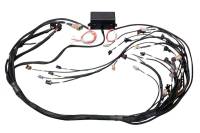 Haltech GM GEN III LS1 & LS6 (Non DBW) Elite 2000/2500 Terminated Harness w/EV1 Injector Connectors - HT-141360