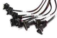 Haltech - Haltech V8 Big/Small Block GM/Ford/Chrysler Elite 2000/2500 Terminated Harness w/EV1 Inj Connectors - HT-141376 - Image 3