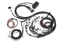 Haltech Ford Falcon BA/BF Barra 4.0 Elite 2500 Terminated Harness w/EV1 Injector Connectors - HT-141388