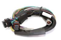 Haltech - Haltech Elite 2500 Basic Universal Wire-In Harness ECU Kit - HT-151302 - Image 3