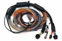 Haltech NEXUS R3 Universal Wire-In Harness - 2.5M (8ft) - HT-183200