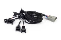 Haltech NEXUS Rebel LS EV1 Injector Sub-Harness (Plug-n-Play w/HT-186500) - HT-186501