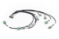 Haltech - Haltech NEXUS Rebel LS EV6 Injector Sub-Harness (Plug-n-Play w/HT-186500) - HT-186502 - Image 2