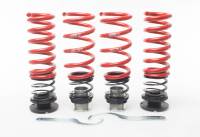 H&R 17-19 Mercedes-Benz E400 4MATIC Coupe C238 VTF Adjustable Lowering Springs