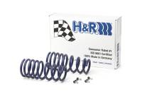 H&R - H&R 14-18 BMW X5 xDrive35d/X5 xDrive35i F15 Sport Spring (w/Self-Leveling/Non 2WD) - Image 2