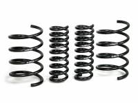 H&R - H&R 01-06 Mercedes-Benz C240/C320/C55 AMG W203 Sport Spring - Image 2