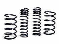 H&R - H&R 93-95 BMW 530i/540i E34 Sport Spring (w/o Self-Leveling/Non Touring) - Image 2